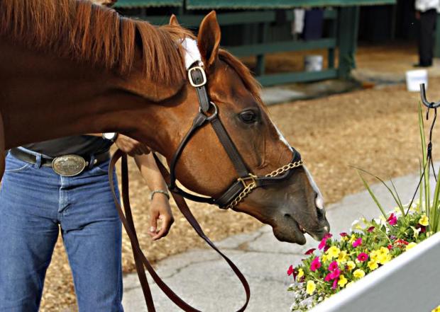 Picture via: http://www.concordmonitor.com/csp/mediapool/sites/dt.common.streams.StreamServer.cls?STREAMOID=GJuYtxe3hQFcB6hepyKbas$daE2N3K4ZzOUsqbU5sYsGBkapaUK5t0dgaPPXHugaWCsjLu883Ygn4B49Lvm9bPe2QeMKQdVeZmXF$9l$4uCZ8QDXhaHEp3rvzXRJFdy0KqPHLoMevcTLo3h8xh70Y6N_U_CryOsw6FTOdKL_jpQ-&CONTENTTYPE=image/jpeg